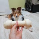 폴리파크 쌍문점 이미지