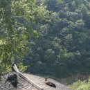 두레영농조합법인 이미지