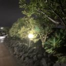 애랑과배비장의집 | 제주 여행 일기 | 애랑과 배비장의 집 곰막식당 공주네 국수 #제주