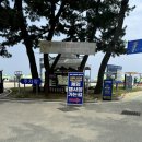 경북 울진애견해수욕장 펫비치 구산해수욕장 방문후기
