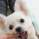 예솔헤어 이미지