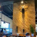 1984나폴리 꽃반지점 이미지