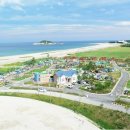 고성국화꽃향기 이미지