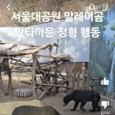 서울대공원 말레이곰 안타까운 정형행동 이미지