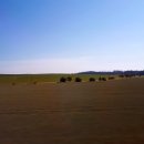 프라하1 이미지