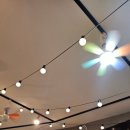 능평초등학교 | [경기 광주] 제주 곤이 칼국수 오포능평점 내돈내산 솔직 후기