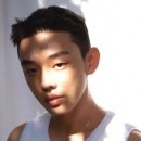 영화나무 이미지