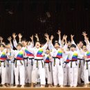 아리랑태권도장 이미지