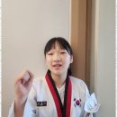 미르 태권도 이미지