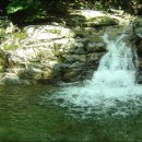 사랑지기 이미지