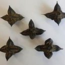 장수식물농업회사법인㈜ | 진밭골 대덕지 수국, 어릴 적 추억 속 물밤