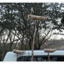 목공예B 이미지