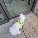 백두 동물병원 이미지