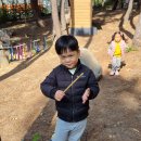 솔바람 유아숲체험원 이미지