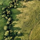 교대약국 이미지