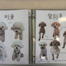 샤샤살롱 지제동삭점 이미지