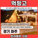 먹핑고