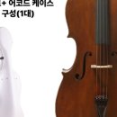 스트링악기 이미지