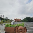 합천 옥전 M3호분 출토 고리자루 큰 칼 일괄 | 합천에서 일주일 여행하기(다라GO 스테이) 1일차-합천박물관과 옥전고분군