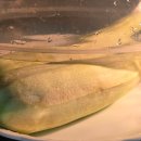 행복집밥 이미지