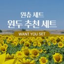 커피플라워 네이버블로그