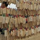 나라꽃 미니정원 이미지