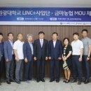 금마 이미지