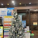 더시크릿의원