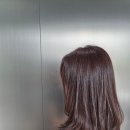 조은 염색 | 서대문구 남가좌 미용실 브라운 염색 빌리언헤어 가재울점 조은 디자이너 염색 후기