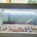 구시외버스터미널 맞은편 이미지