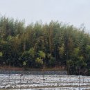 대죽농장 이미지