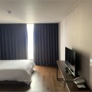 서귀동-25 이미지