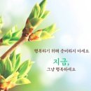 아그넷 오늘의 일기4 이미지