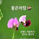 신비의료기 Daum카페