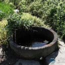 주생면 영촌마을 이미지