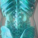 365상쾌한의원 이미지