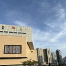 정래할머니 이미지