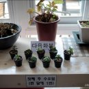 율동생태학습원 이미지