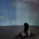 비자림스마일 | 🏝️6월 제주도 동쪽 3박4일 여행🏝️ 함덕 몽탄 비자림 우도 스누피가든🛫