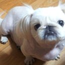 경산장례협동조합 이미지