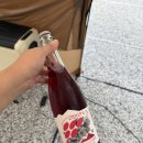 씨유 동검행복점 | [강화]시설왕왕좋은‘오션포레스트’캠핑장(C-05사이트)