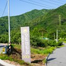 예천군 곤충나라 사과테마파크 오토캠핑장 이미지