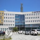 산책하다 이미지