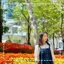 중앙공원 1지구 화장실 | 튤립명소 경기도 4월 5월 가볼만한 곳 평촌 중앙공원 튤립 피크닉 추천 주차장 이용 꿀팁