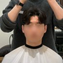 르무드헤어 이미지