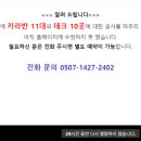 별빛애견 이미지