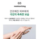 보떼스킨