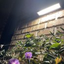 복음자동차공업사 이미지