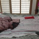 구례축협하나로마트 이미지