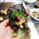 정우배농장 이미지